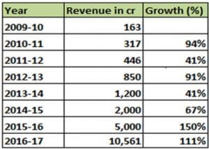 patanjali revenue